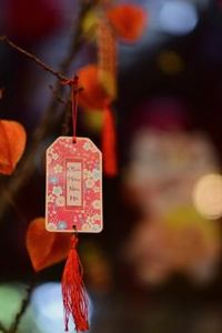 game hỗ trợ Sodo